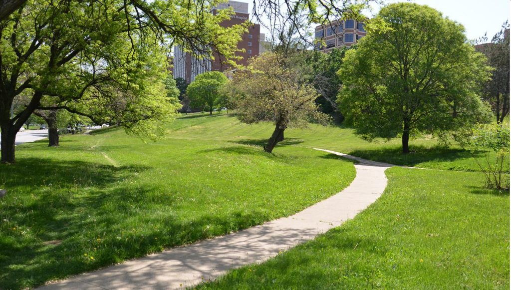 Dr.-Jeremiah-Cameron-Park