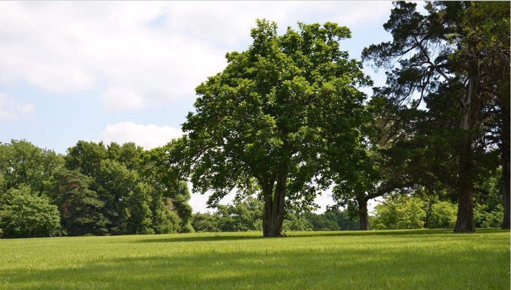 Klapmeyer-Park