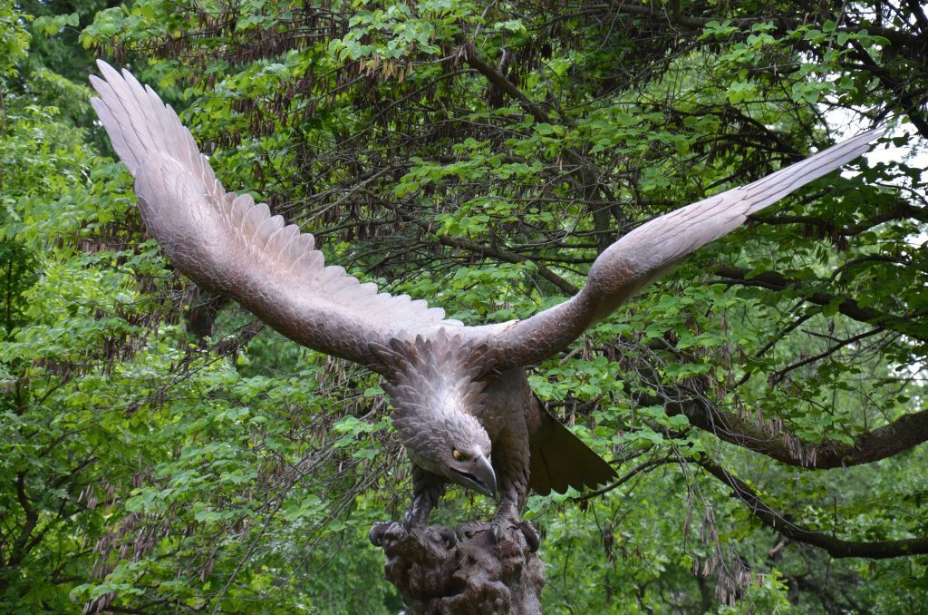 eagle-1
