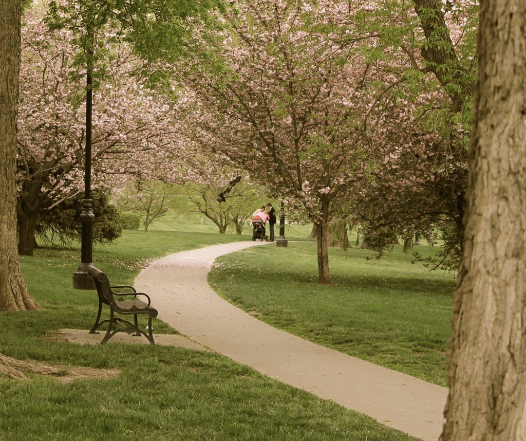 loose-park-2