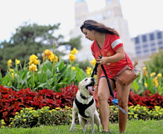 Walking with dog
