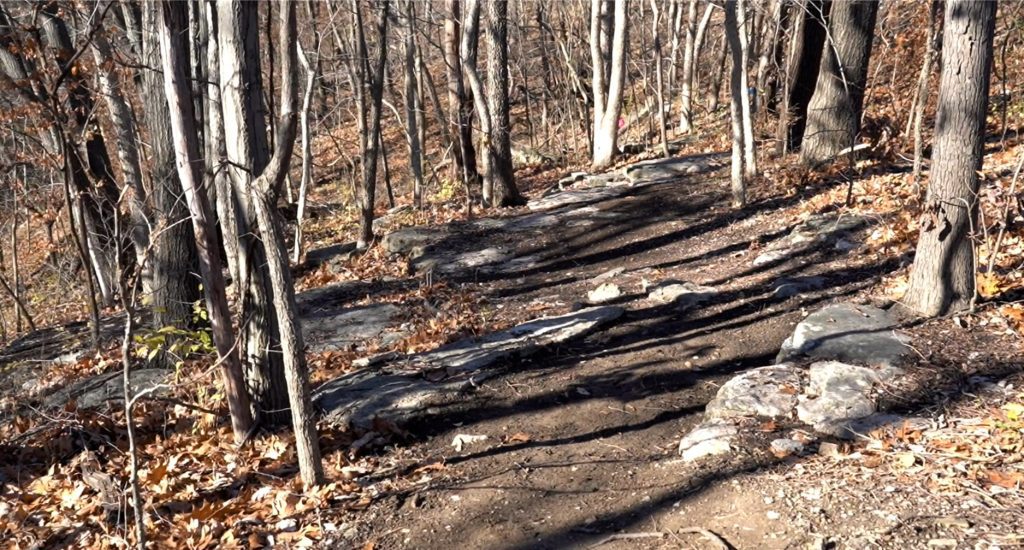 Blue Valley Park Oxbow Bluffs Trail