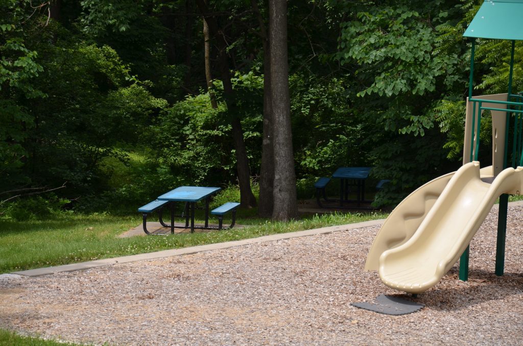Wildberry Park3