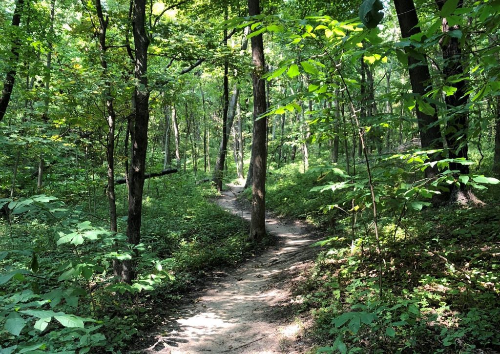Hidden Valley Park Trail Beautiful Nature