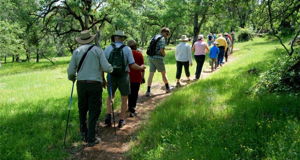 Hikers