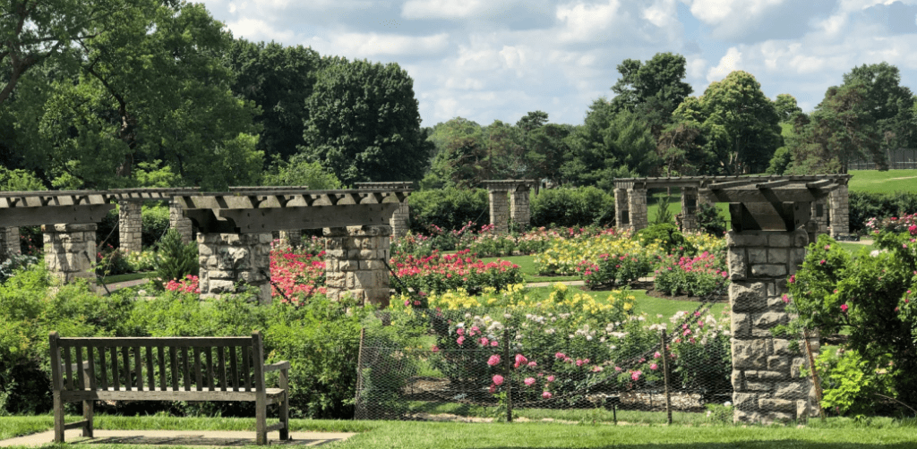 Rose Garden